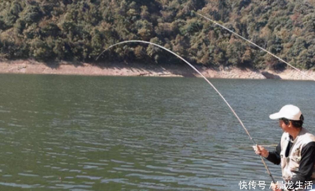 听觉|钓鱼时不能大声说话,声音会把鱼吓跑,鱼真能听到人说话吗?