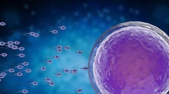 生育|夫妻的最佳“年龄差”是几岁?如果接近“这个数”,就偷着乐吧