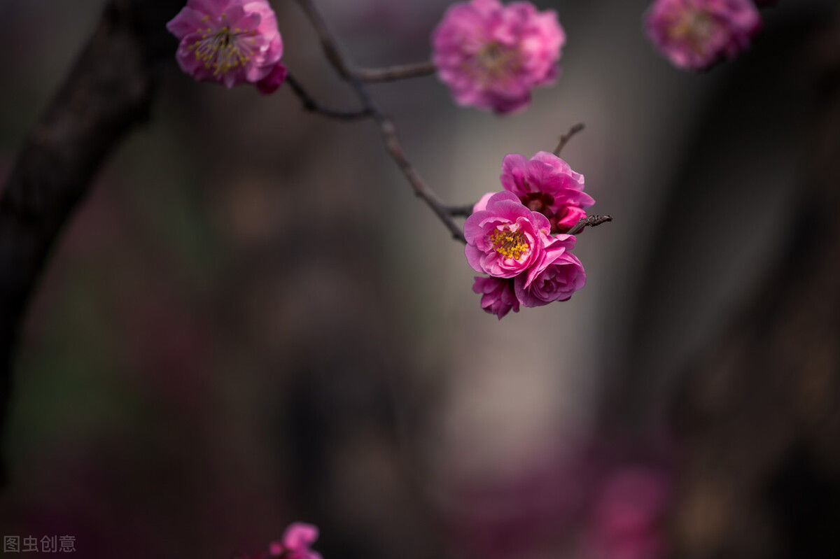 王国维&泪眼问花花不语，乱红飞过秋千去，作诗如何意层深、语浑成？