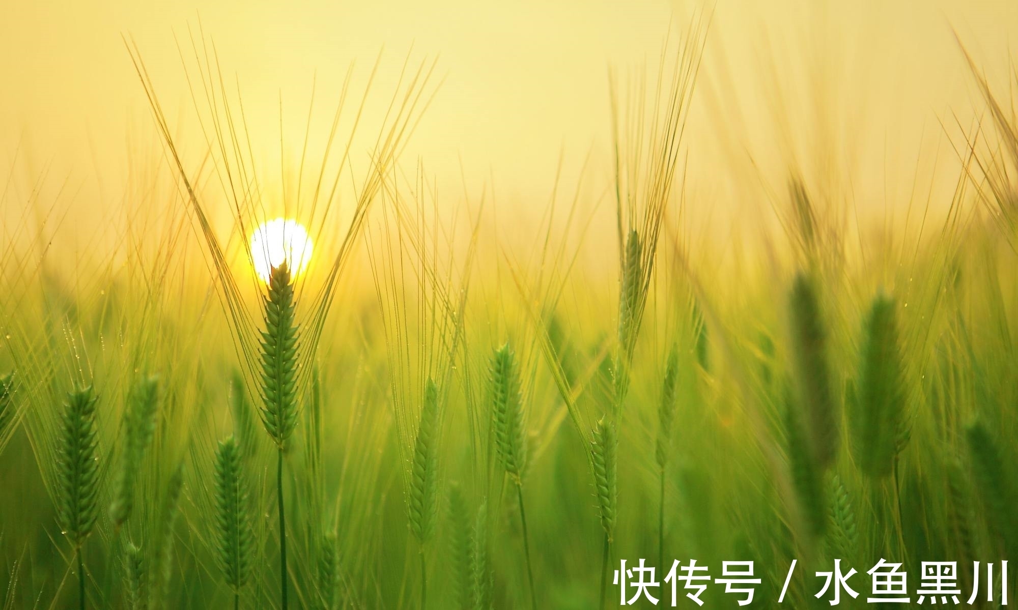 马谡#10句流传很广的民俗谚语，句句大白话，却讲出基本的为人处世道理