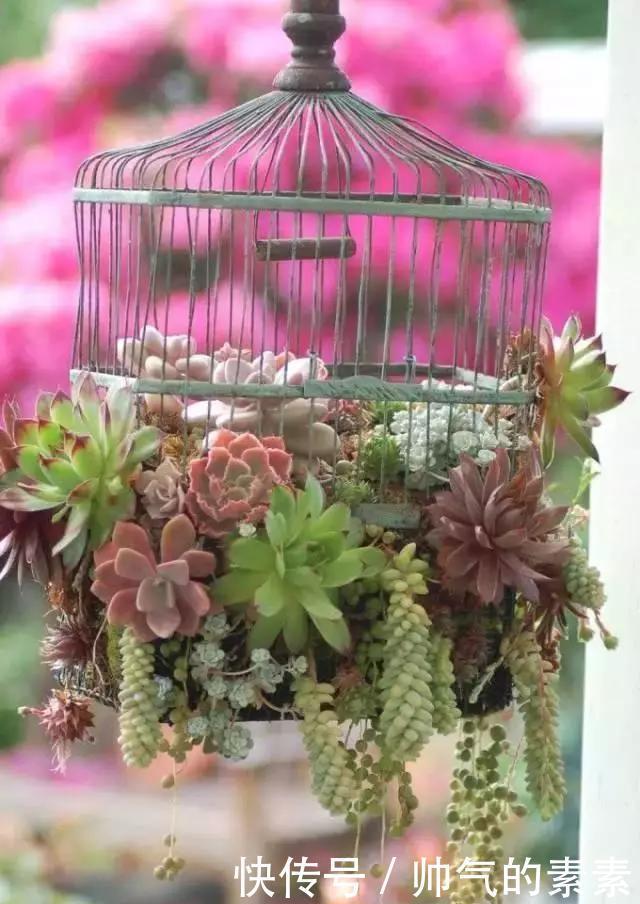 只要脑洞够，万物皆可花盆