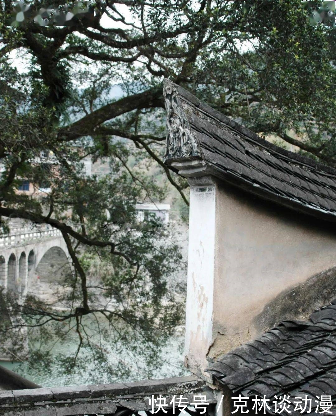 “福建之最”!这些宝贵的文化遗产就在寿宁