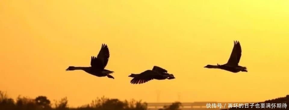 满秋窗|江城子·碎影满秋窗