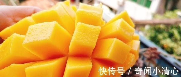 bug|这9条生活中的趣味冷知识，都听说过的一定是猎奇达人