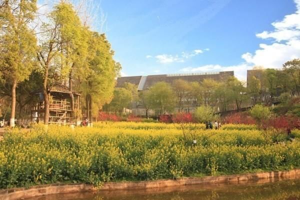 两个人重庆旅游需要多少钱(重庆旅游多少钱2人)(图3) 来网红重庆旅游,为啥四川美术学院成最热