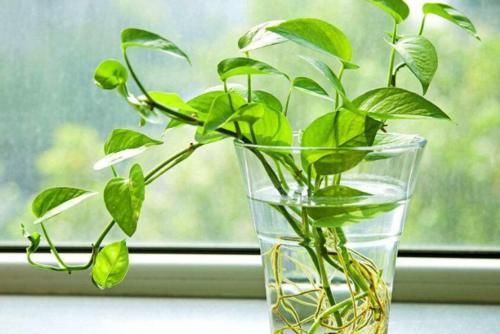 床头有4样东西,有致癌风险,还会毁睡眠,若你家有,尽快处理