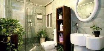 厕所里养花,把潮气毒气都吸走了,身体好皮肤好