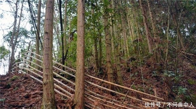 U8国际- U8国际官方网站- U8体育APP下载《北京市长城保护条例》明起施行授权使用电子围栏提示攀爬风险