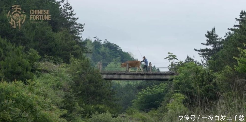  冬至|土地，是托起人最核心的东西｜《天时·戊戌志》定档冬至日