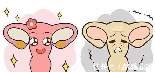 助孕|30岁的我卵巢一步步衰退,最后选择试管婴儿助孕