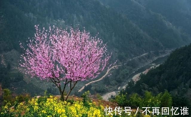 张桂梅!心量(深度好文)