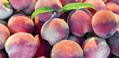 美容养颜|女性过了30,不妨多吃以下食物,提高免疫力,延缓衰老,美容养颜