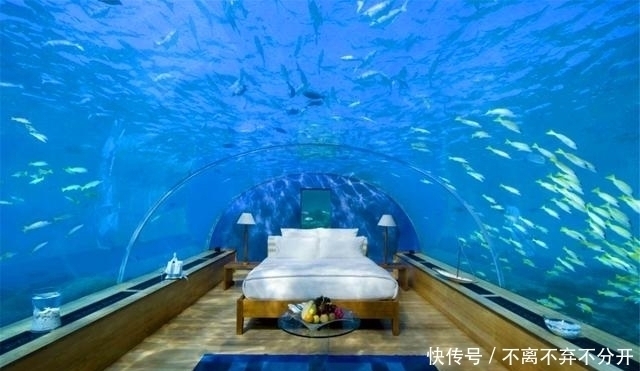 非洲最浪漫酒店，在水里看着鱼睡觉，一个晚上就得10000块