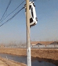 |搞笑GIF:昨天领女友回家吃饭,只顾着看她了,全家人大气都不敢喘一下