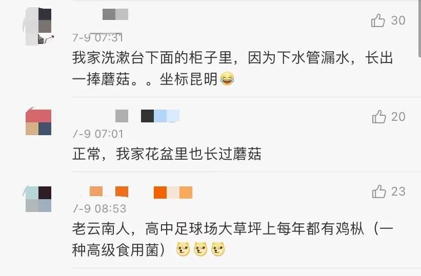野生菌|办公室长野生菌,2.8亿网友围观!专家:有毒!别吃!