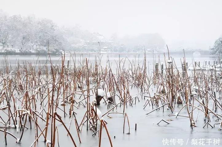 有一种雪，只属于中国，下在了江南