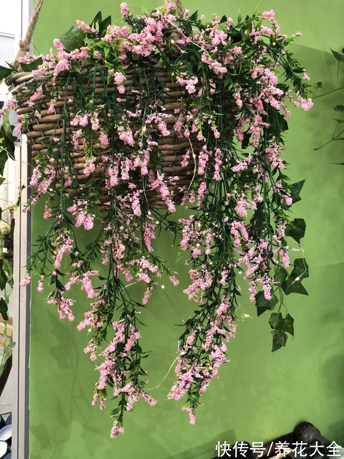 网上买花,最怕买到这3种,记住了省下一大笔钱