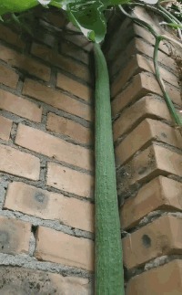 |搞笑GIF:这套动作真危险 到底是男的累还是女的累