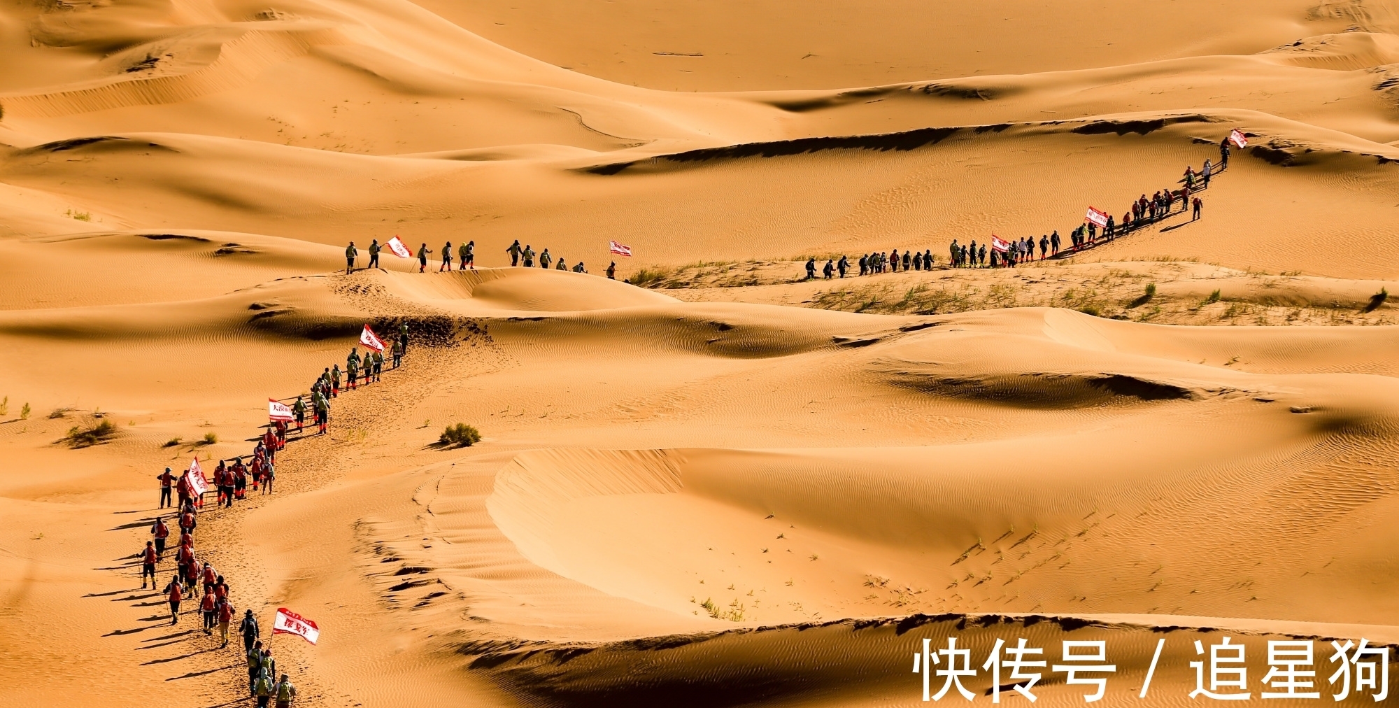 名句$亦余心之所善兮,虽九死其犹未悔——读屈原名句,解人生烦忧