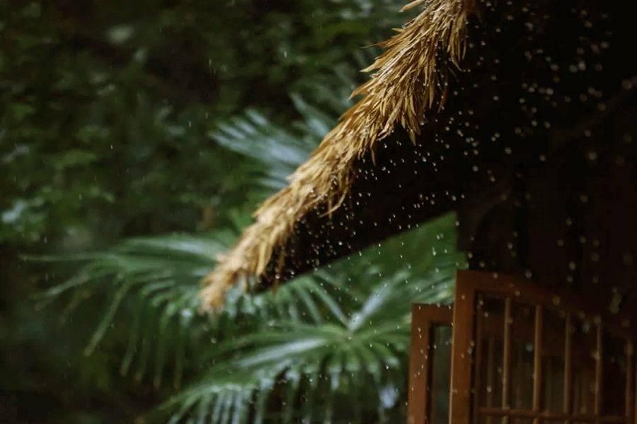  方法|庄子：心斋与坐忘，两种重要的修养方法