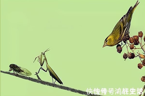 螳螂@经典的先贤智慧,莫被表象所迷惑,人生福祸多源于此