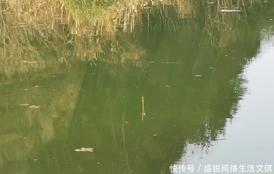 钓位|谁说钓鱼找底不重要？它的作用可不仅是为了调漂，绝不可省略