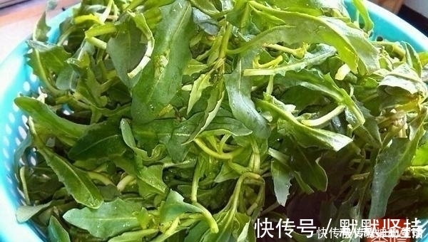 赘肉|还在为大肚子游泳圈烦恼吗 常吃此菜, 腰间赘肉少一圈, 皮肤白嫩