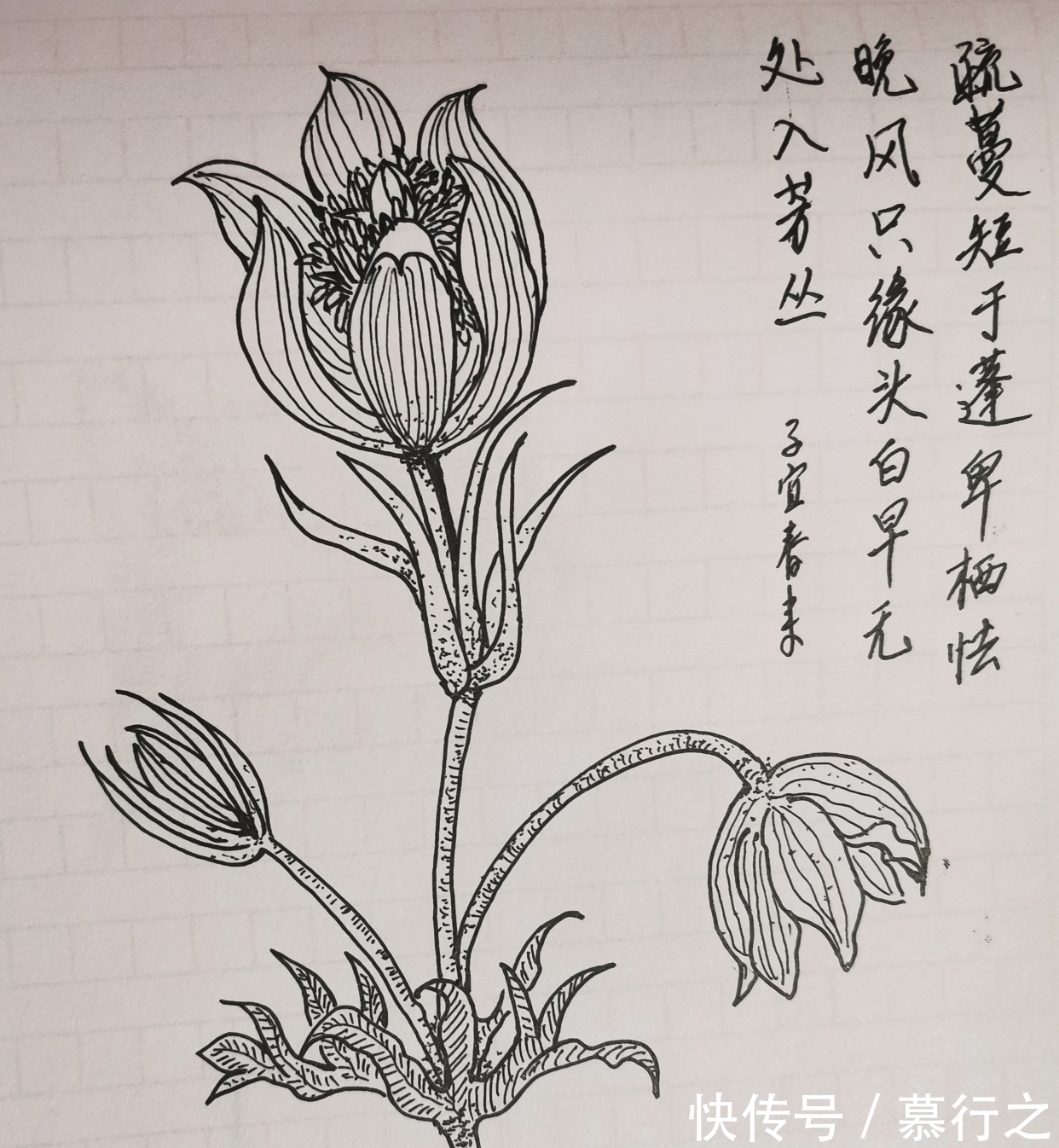 苏轼$有一句诗，比苏轼的“十年生死两茫茫”，还让人伤感