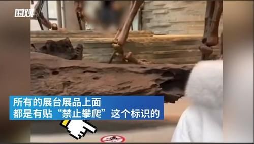 博物馆又见熊孩子，家长行为更迷惑