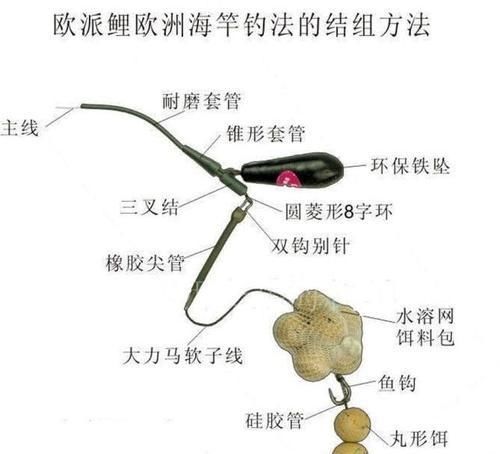 在欧洲钓鲤鱼是一项非常高大上的运动,一套装备要几干欧