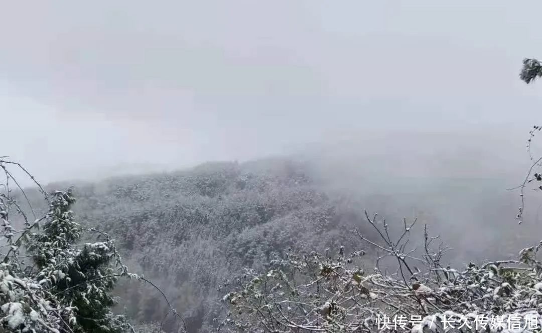 惊艳|惊艳！苍溪九龙山雪景美到cry！