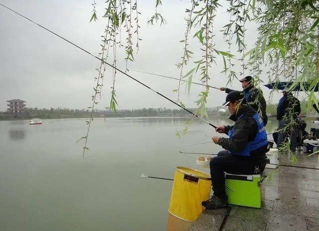 溶氧量|野钓鲫鱼难上钩？教你一个简单小窍门，一钓一个准想不爆护都很难