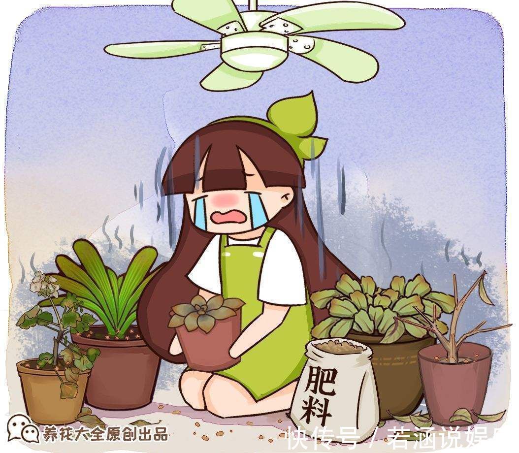 养花|家里的养花土生虫子?学会这几招,什么虫子都不用怕了