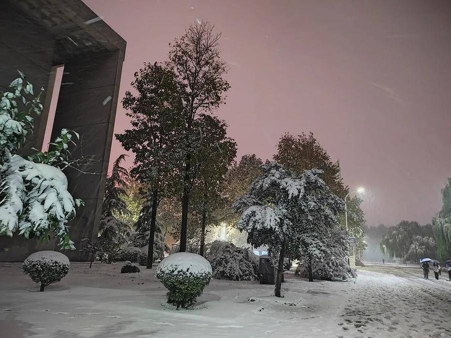 银装|雪中潍坊科技学院，更多了一份静谧之美