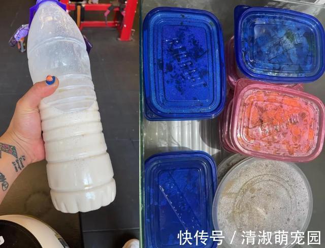 犯规|安徽“筋肉女仆”身材太犯规，网友：堪称“女版鹿晨辉”