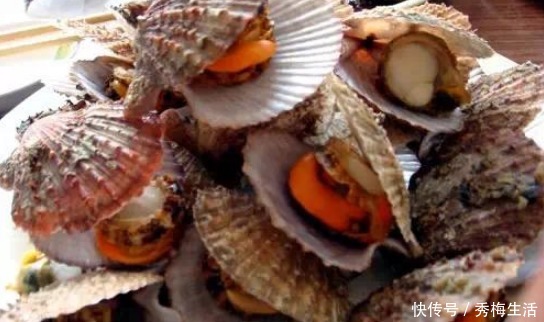 蒜蓉蒸扇贝|蒸扇贝,冷水上锅就错了,学学海边人做法,肉质鲜嫩,饱满不回缩