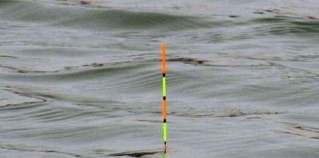 鱼钩|浮漂有动作,提竿却不中鱼,这种情况该如何应对