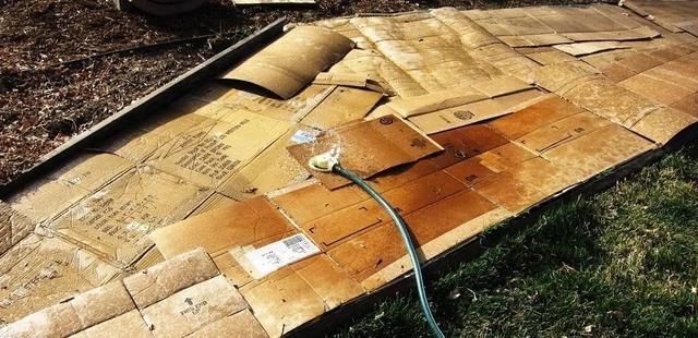 园艺工具|常用的一些生活用品,变成园艺工具,用来养花太方便了