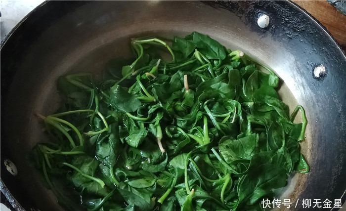 春天，这菜特别鲜，别不知道吃，风味独特有营养，做法简单没难点