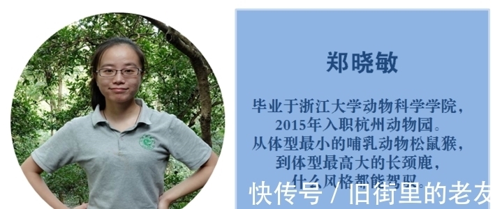 【神奇动物在中国第二季·第2讲】颜值最高的猴子