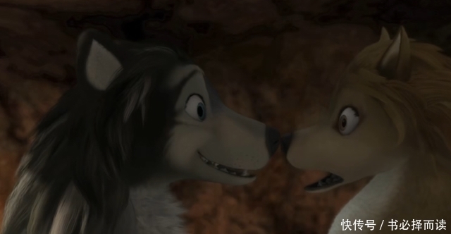 狼群|动漫影视论丨彼此了解才能拥有爱情,《丛林有情狼》体会生活美好