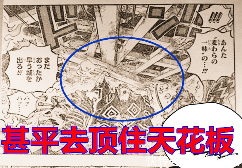 白胡子海贼团|海贼王,CP0自称为神盾零,甚平被尾田困住并且被雪藏