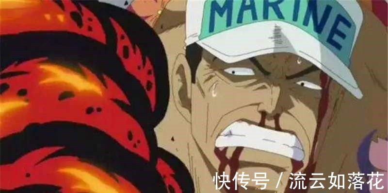 海贼天不怕地不怕的赤犬|海贼天不怕地不怕的赤犬 为何畏惧红发 五老星我也惹不起