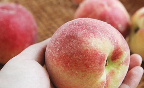 桃子|教你四招你就能挑出香甜的水果,美味有营养,小孩子喜欢吃