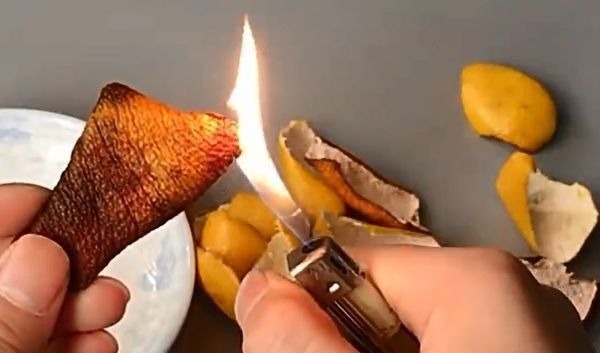 橘子皮用打火机烧一下，放家里特别“值钱”，家家户户都用得上！
