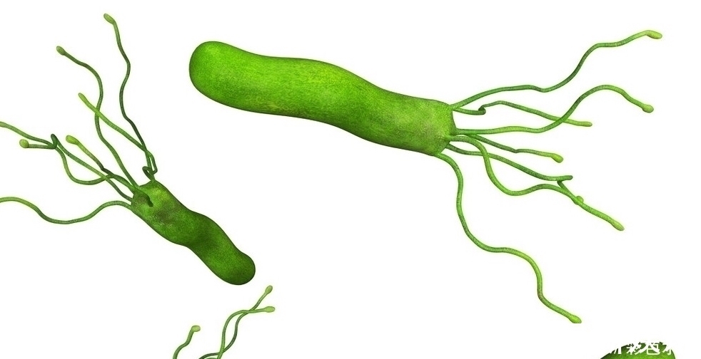 质子泵抑制剂|胃炎和幽门螺杆菌有必然联系吗,雷贝拉唑等药长期应用有何后果