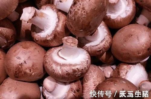 滋补|想长寿先养肝,坚持吃3种食物,营养丰富,滋补身体,早吃早好