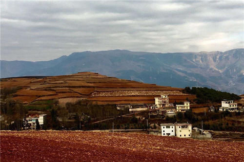 走进东川打马坎村，欣赏七彩坡和锦绣园，美丽的田园风光