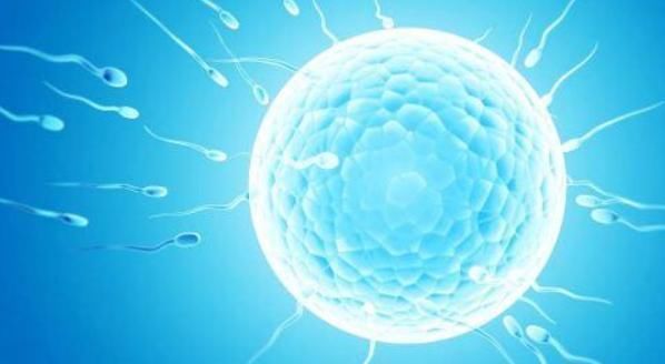 排卵期|女性有这3种表现暗示您身体不排卵,再努力也是白费