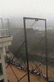 |搞笑GIF:据说看不懂的都是纯洁的好孩子